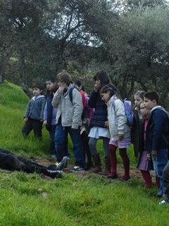 Foto de Ricardo Trêpa